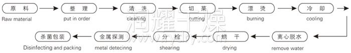 脱水蔬菜带式干燥工艺流程